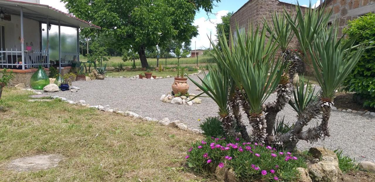La Cascina Della Grotta Di Tufo Bed and Breakfast San Valentino  Εξωτερικό φωτογραφία